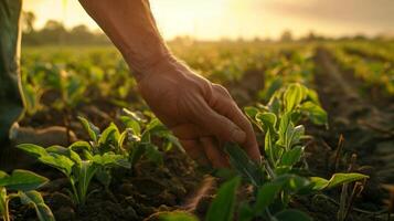 le agriculteur s'étire le sien main plus de le champ. champ paysage de le dos. généré par artificiel intelligence. photo