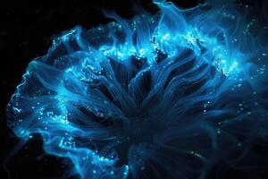 le éblouissant afficher de bioluminescent plancton photo