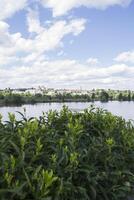 magnifique été vue dans le parc. photo