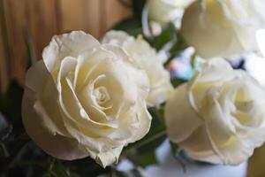 bouquet de roses blanches. photo