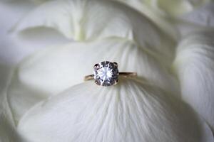 mariage bague sur blanc pétales de des roses. photo