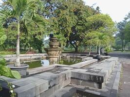 prambanan temple Cour avec des arbres dans Indonésie photo
