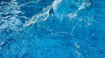 Contexte dynamique éclaboussure de clair l'eau création tourbillonnant vague dans bleu l'eau avec gouttelettes suspendu dans mouvement. nettoyer l'eau concept. photo