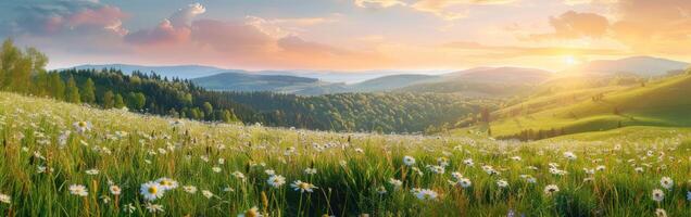 Soleil réglage plus de montagnes avec fleurs sauvages photo