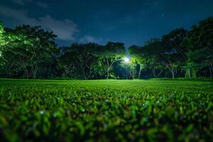 la nuit herbe champ avec loin rue lumière photo