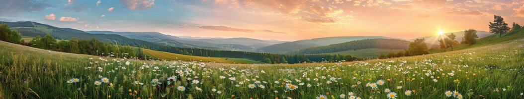 herbe champ avec montagnes photo