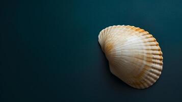 une Célibataire coquillage, délicatement mis contre une coloré arrière-plan, capture le essence de le océan photo