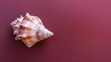 une Célibataire coquillage, délicatement mis contre une coloré arrière-plan, capture le essence de le océan photo