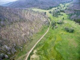 jeep Piste et forêt après incendies photo