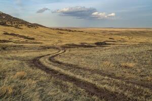 saleté ranch route dans prairie dans nord Colorado photo