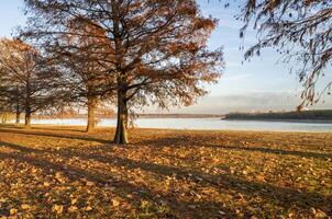 confluence de le Mississippi et Ohio rivières vu de fort défi Etat parc près Caire, il, en retard novembre paysage photo