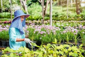 femme asiatique de travailleur heureux avec la plantation de fleurs en prenant soin des fleurs en serre.