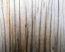texture de la surface du bois de la vieille souche photo