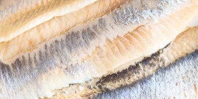 hareng filet de poisson fruits de mer frais photo