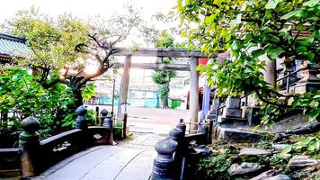 tombeau torii et pont.oji inari tombeau, une tombeau dans kishicho, kita salle, Tokyo, Japon. pendant le Kohei année photo