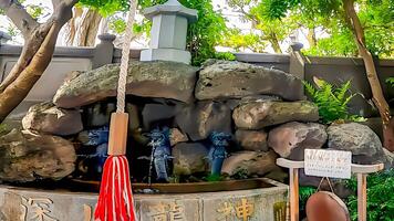 tombeau dans le enceinte de fukagawa fudodo, fukagawa ryujin.fukagawa fudodo, une temple dans Tomioka, koto salle, Tokyo, tokyo branche de naritasan Shinshoji temple dans narita ville, chiba Préfecture. photo