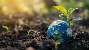 globe et plante croissance dans le sol. Terre journée concept. photo