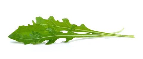 Salade de roquette sucrée ou feuilles de laitue roquette isolés sur fond blanc photo