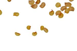 Chili des graines pile isolé sur blanc Contexte photo