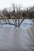 scène d'inondation avec rivière et un arbre au milieu photo