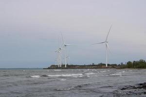 pelouse plage Etat parc sur Lac erie dans buffle Nouveau york photo