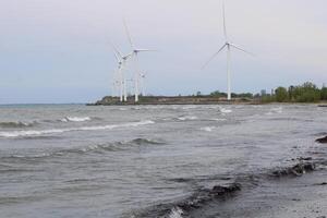 pelouse plage Etat parc sur Lac erie dans buffle Nouveau york photo