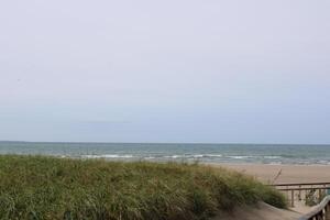 pelouse plage Etat parc sur Lac erie dans buffle Nouveau york photo