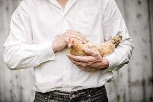 fermier tenant un poulet beige