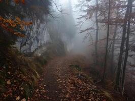 brumeux Montagne Matin paysage photo