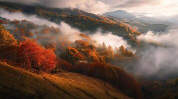 brumeux Montagne Matin paysage photo