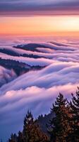 Montagne brouillard paysage vue photo