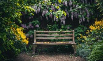 une jardin coin orné avec lilas et cytise des buissons photo