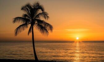 une seul paume arbre silhouette contre le d'or teintes de une lever du soleil plus de le océan, tropical la nature à le coucher du soleil photo