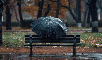 une seul parapluie sur une humide parc banc pendant dans le pluie photo