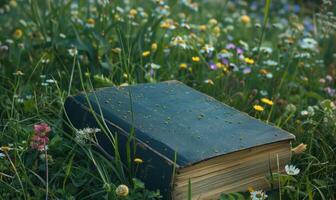 vieux livre mensonge sur une herbeux monticule entouré par fleurs sauvages photo