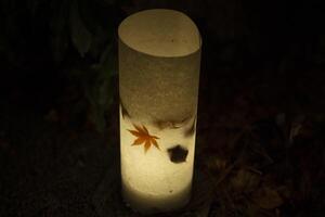 un illuminé rouge feuilles dans le lumière à le traditionnel jardin à nuit dans l'automne photo