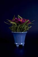 papier fleurs dans une bleu vase sur une noir Contexte photo