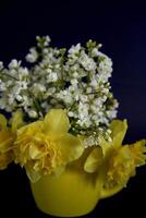 fleur arrangement de Jaune jonquilles et blanc arabe Caucasica dans une Jaune tasse sur une noir Contexte photo