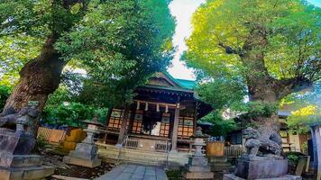 nishimukai tenjin tombeau, une tombeau situé dans Shinjuku, Shinjuku-ku, Tokyo, Japon il est mentionné à avoir été fondé par togao akie shonin dans 1228, et car le tombeau bâtiment visages Ouest photo