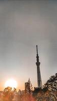 lever du soleil et tokyo skytree tour.a radio la tour dans oshiage, sumida salle, Tokyo, Japon. la taille 634m. commercial installations et Bureau bâtiments sont ci-joint, fabrication en haut tokyo skytree ville. photo