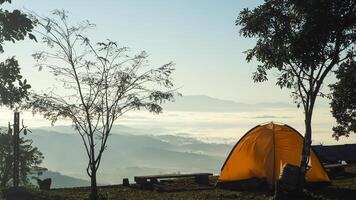 Jaune tente pour camping avec la nature Contexte. Matin brumeux sentiment fraîcheur, liberté et avoir Nouveau inspiration. vacances concept photo