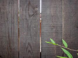 en bois clôture avec petit herbe photo