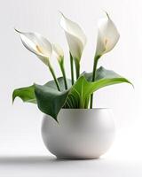 ai généré calla lis dans une blanc pot photo