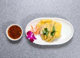 hai nam poulet dans thaïlandais style avec le Chili sauce servi dans plat isolé sur gris Contexte Haut vue de Hong kong nourriture photo