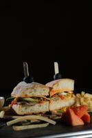 épicé sud-ouest poulet sandwich avec frites et Mayonnaise tremper servi dans plateau isolé sur foncé Contexte côté vue de petit déjeuner nourriture photo