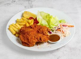 poulet escalope ou hacher avec salade, citron vert et français frites servi dans plat isolé Haut vue de Singapour nourriture photo