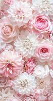 une grand groupe de rose et blanc fleurs photo