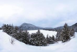 lac gelé en hiver photo