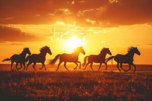 silhouettes de troupeau de les chevaux galopant à travers champ à le coucher du soleil photo