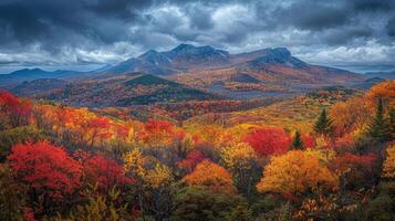 ai généré Montagne entouré par des arbres photo